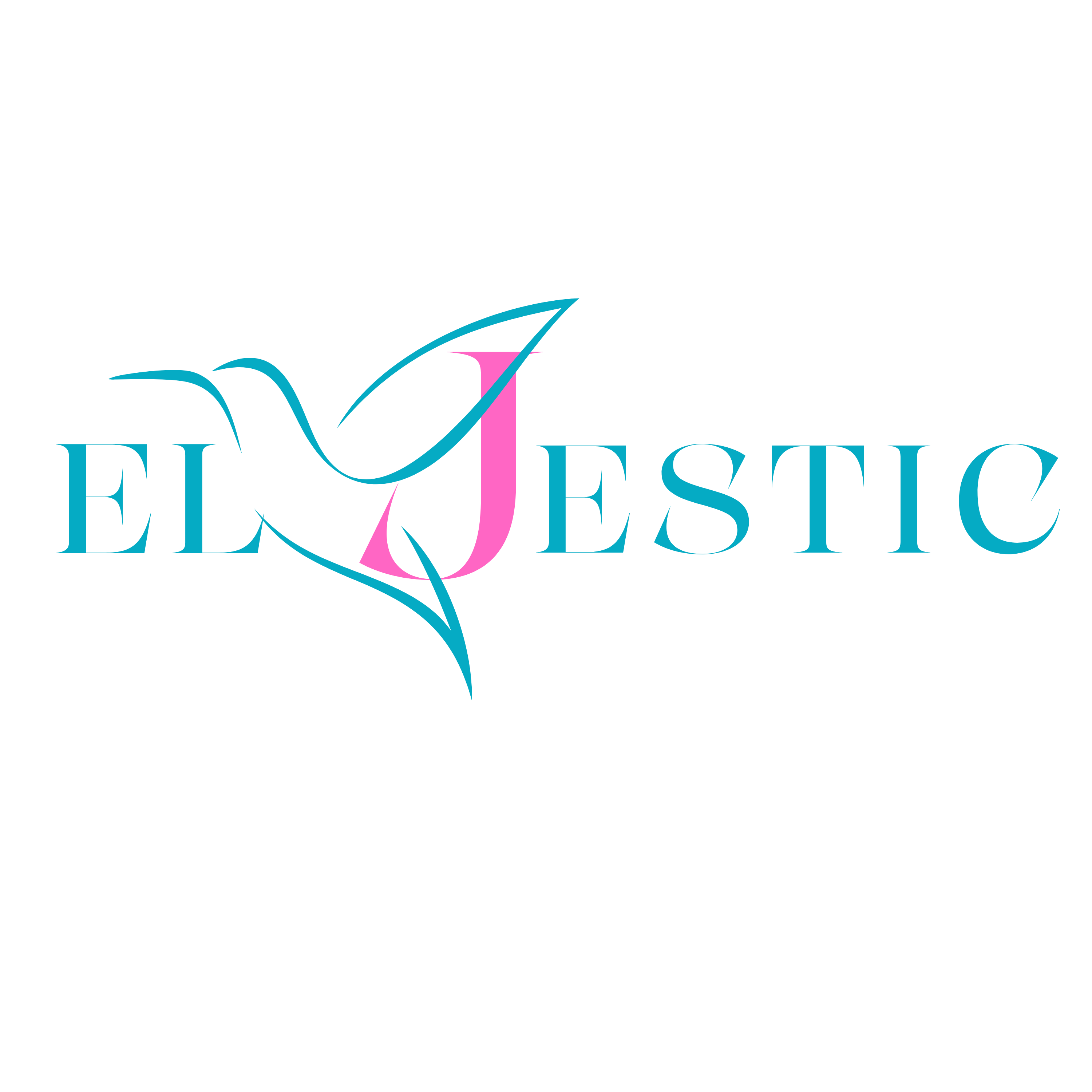 El Jestic Home Health Services